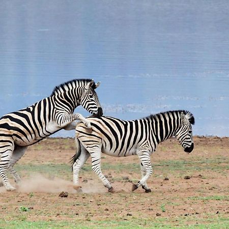 Tented Adventures Pilanesberg Exterior photo