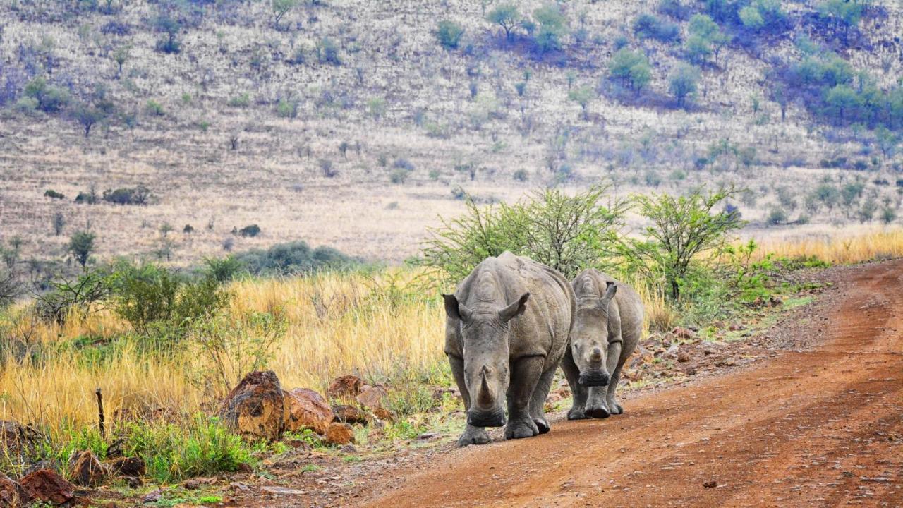 Tented Adventures Pilanesberg Exterior photo